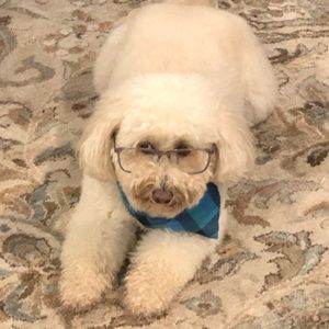 Meet your Posher, Garrett